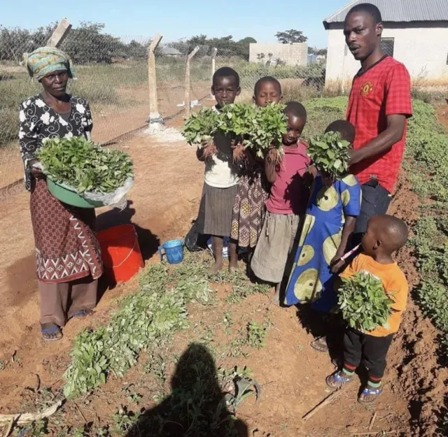 Children and caretakers holding greens harvested from the garden